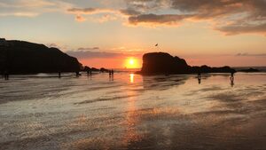 806DE768-8B45-4EF1-A191-EB17EBC46AF5