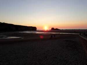 88bb66cd-cd2c-44c7-a98d-0435c30f9fc9