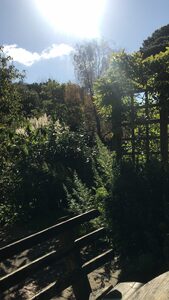 9E3D462C-6E91-4AEC-889C-FED9376B11D1