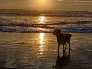 WhatsApp Image 2021-01-22 at 20.20.19