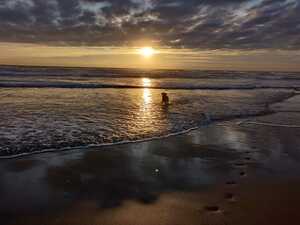 WhatsApp Image 2021-01-22 at 20.20.57