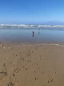 WhatsApp Image 2021-01-22 at 20.24.51