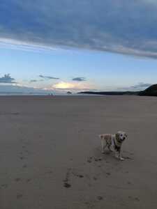 WhatsApp Image 2021-01-22 at 20.25.49