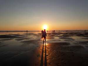 b6a18587-34a8-44ae-87db-087398748de4