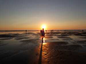 f1826e3d-046f-4958-8316-2a4e6d7b37f3